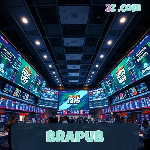 brapub Suporte 24/7